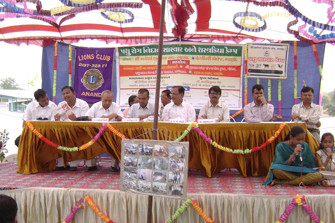 Godhra Trust Hosts Camp to Save Birds Injured During Kite Festival