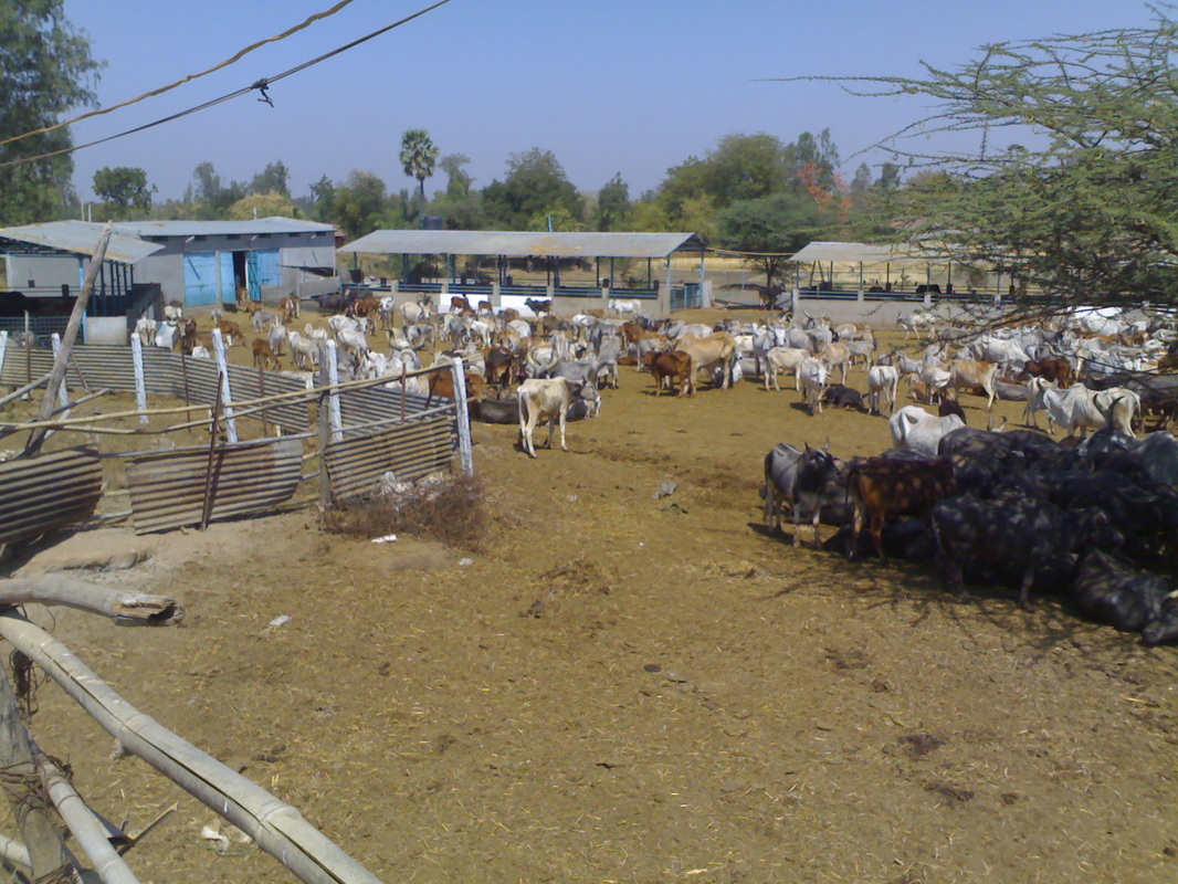 પર્યુષણ મહાપર્વની ગોધરા ખાતે ભવ્ય ઉજવણી
