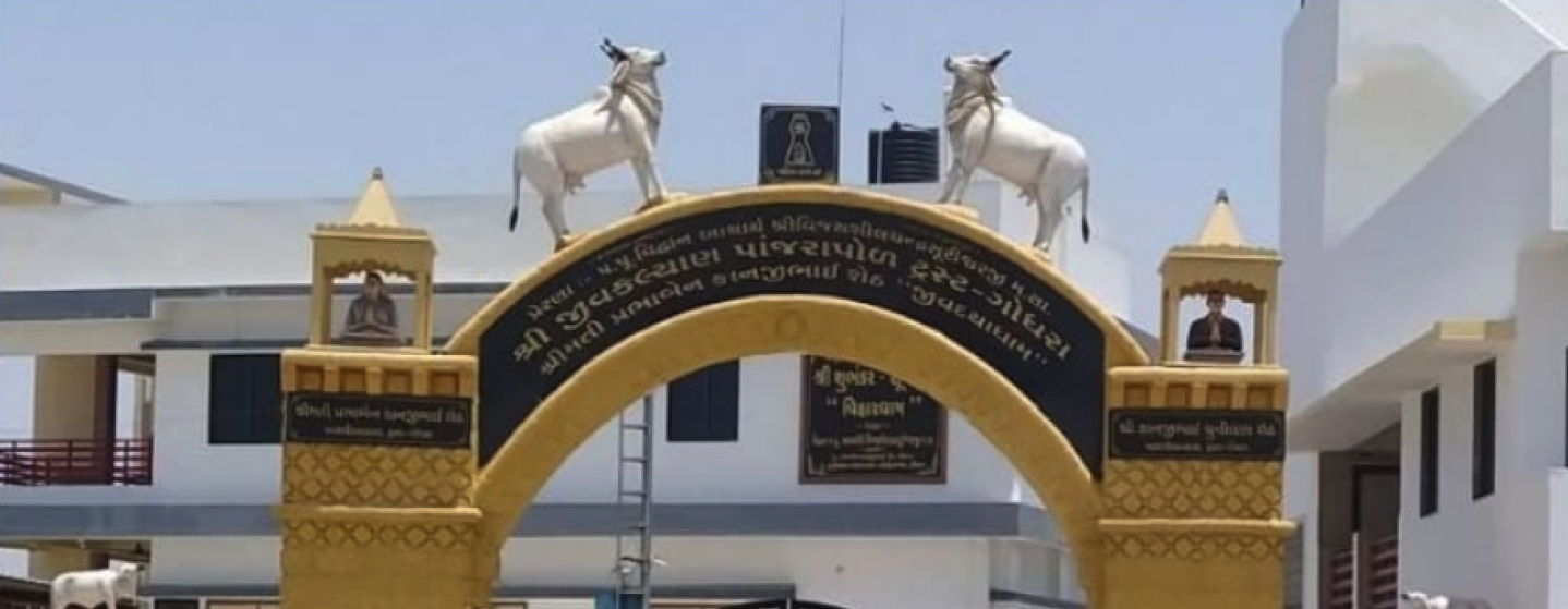 Jivdaya Dham — animal shelter